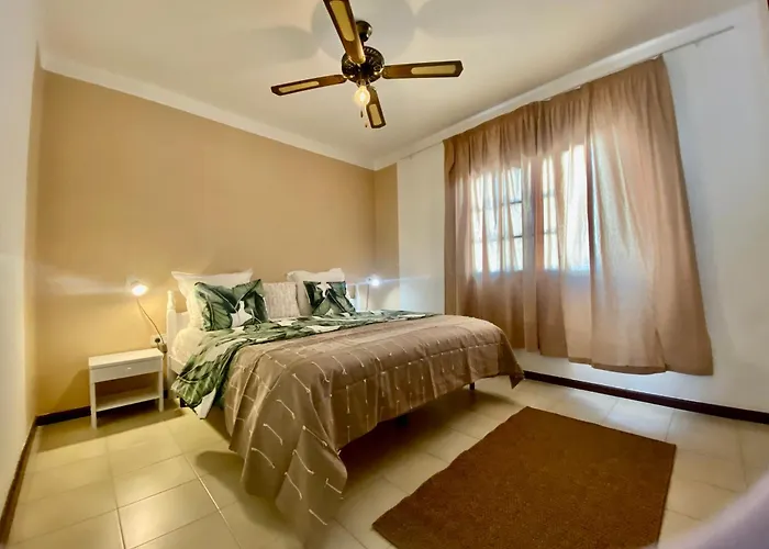 アパート Estrella Del Mar Helechos *