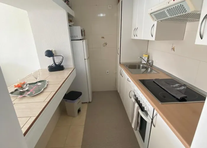 Estrella Del Mar Helechos * ティアス